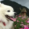 多多的头像