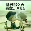 风雨同路的头像