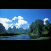 五月黄杏（（杏团））的头像