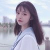 白枙的头像