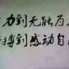 随心所欲的头像