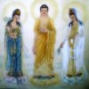 妙音，修心的头像