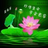 珍惜生命，学会包容的头像