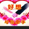 爱就在一起的头像