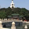 安东的头像