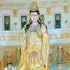 岁月如歌，的头像