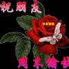 乡下人停币的头像