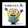 小黄人的头像