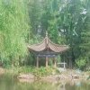 送蜻蜓的头像