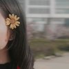 风景于心快乐于己的头像