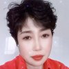 金子的头像