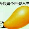 真真宝宝的头像