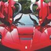 鸿雁的头像