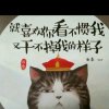 浮云的头像