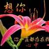 悔恨人生的头像