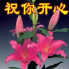 歌声齐唱响的头像