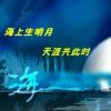 擦肩而过的头像
