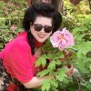 兰花：退网、不互动的头像