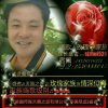 情深似海的头像