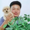 王志新的头像