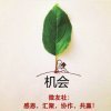 红杉的头像