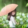 伟伟的头像
