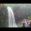 Zhang的头像