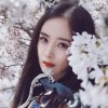 开心果醉乐韵的头像