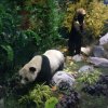 追忆的头像
