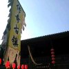 仰望辉煌的头像