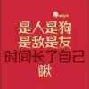 哈怂哥的头像