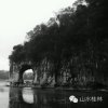 1的头像