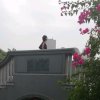 安静的头像