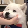 ♡的头像