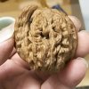 狼，的头像