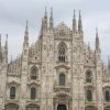 草长莺飞的头像