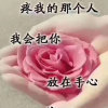 ┽99☆海豚ゞ的头像