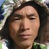 黎冬的头像