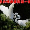 乐乐的头像
