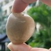 星星的头像