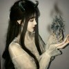 清欢渡的头像
