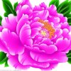 快乐的头像