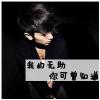 起洲13979771007的头像