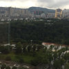 孤叶的头像
