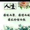 好人一生平安的头像