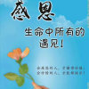 开心果的头像