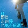 【光阴似箭】的头像