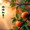 阳光的头像