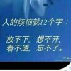 的头像
