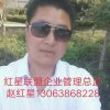 红星企业管理的头像